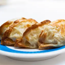 Chicken dumplings